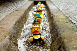 small stream of water with rubber ducks floating